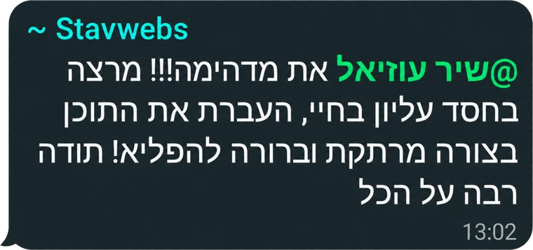 המלצה מבוגר/ת הקורס