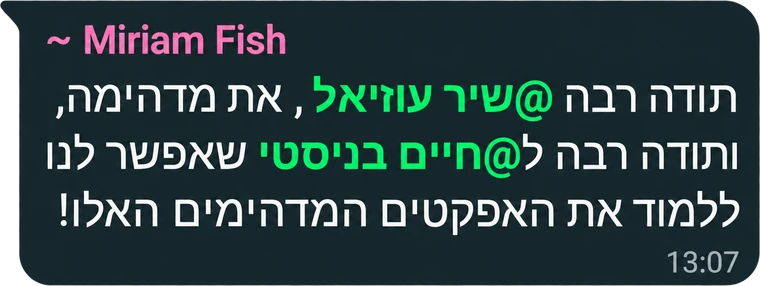 המלצה מבוגר/ת הקורס