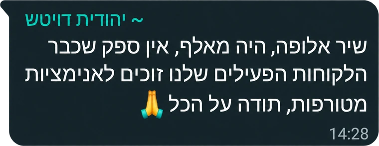 המלצה מבוגר/ת הקורס