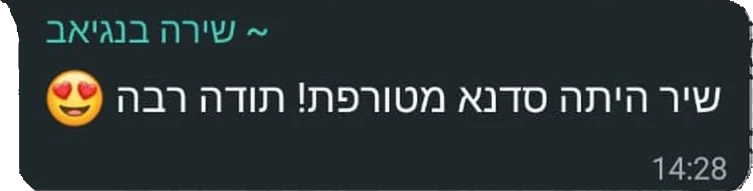 המלצה מבוגר/ת הקורס