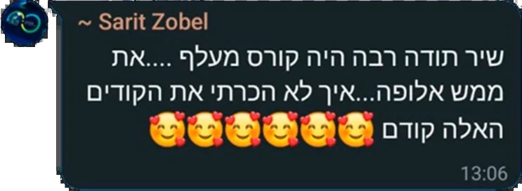 המלצה מבוגר/ת הקורס